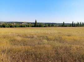 Лот № 74297

Продаётся земельный участок в с. Полюшко.

Участок...