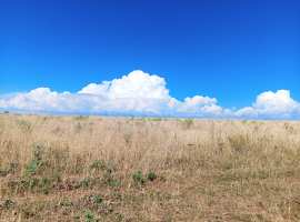 Лот № 74323

Предлагаем к продаже земельный участок 21 Га...