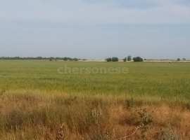 Лот № 74326

Продается участок сельхозназначения в Нижнегорском...