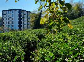 Лот № 175834. Продается квартира в доме бизнес класса в центре...