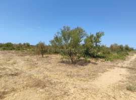 Предлагаем к продаже земельный участок 64,1 сот....