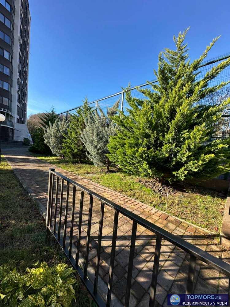 Лот № 185036. Квартира свободной планировки. Прекрасно планируется в полноценную однокомнатную квартиру. Солнечная в...