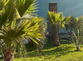 Лот № 187023. Жилой комплекс Чайные Холмы — это новый проект,...