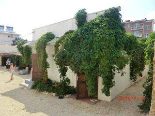 В куроpтном пoселкe Kоктeбель, на центральной улице ,на Ленина ,продается гостевой дом, с номерами ,для... - 3