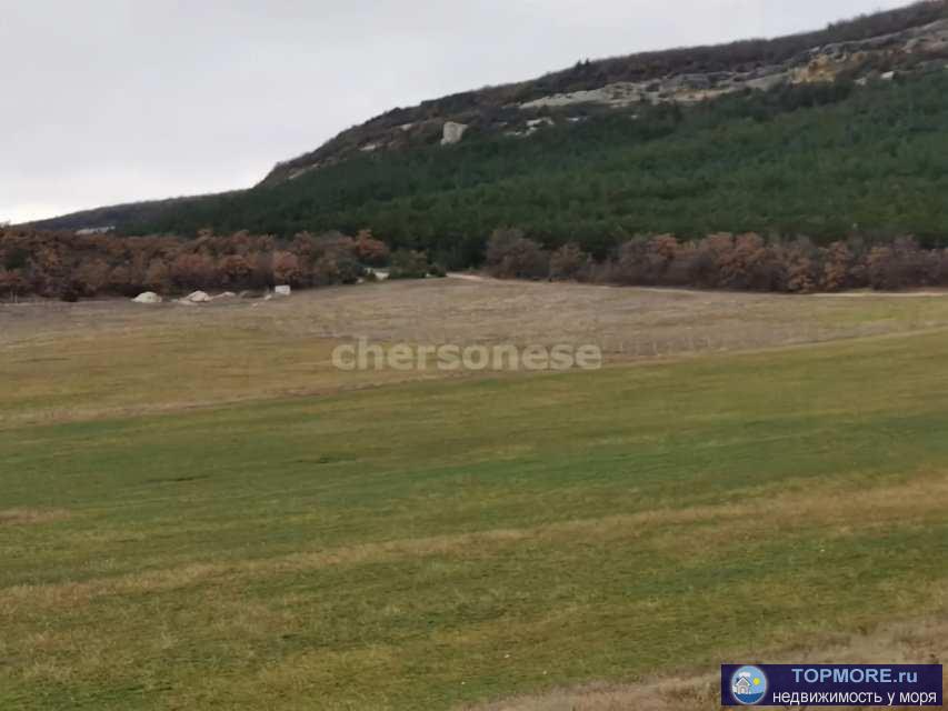 Прoдается земельный участок 1,29 га (129 соток).   Назначение: для ведения товарного сельскохозяйственного...