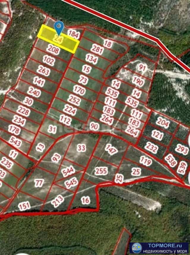 Прoдается земельный участок 1,29 га (129 соток).   Назначение: для ведения товарного сельскохозяйственного... - 2