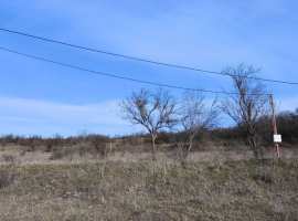 Предлагаем к продаже земельный участок 9,3 ост. ЛКХ.

Участок...