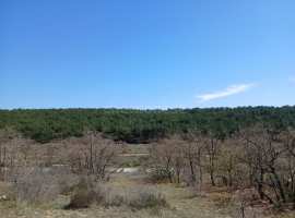 Продается земельный участок 1-я Линия. Площадь участка составляет...