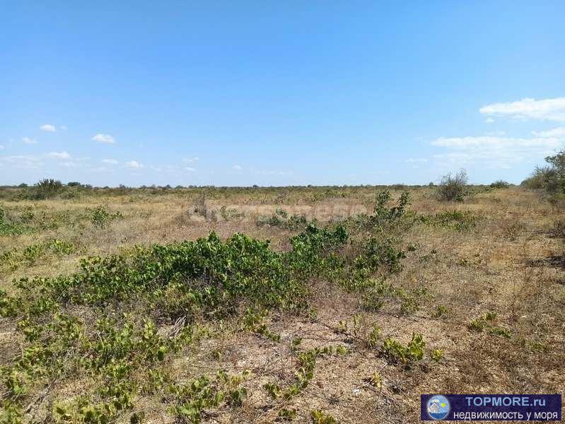 Предлагается к продаже участок 130 соток в СТ "Берег"  Земли сельскохозяйственного назначения. Участок...