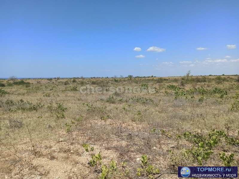 Предлагается к продаже участок 130 соток в СТ "Берег"  Земли сельскохозяйственного назначения. Участок... - 2