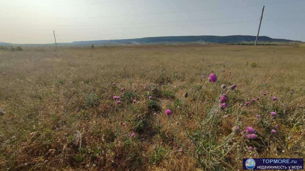 Предлагаем к продаже сельхоз. поле 2,4 га в Бахчисарайском районе!  Ровный участок, фасад 115 метров, глубина 207... - 2