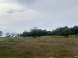 Объект № 75430

Продается участок для дачи в тихом месте в черте...