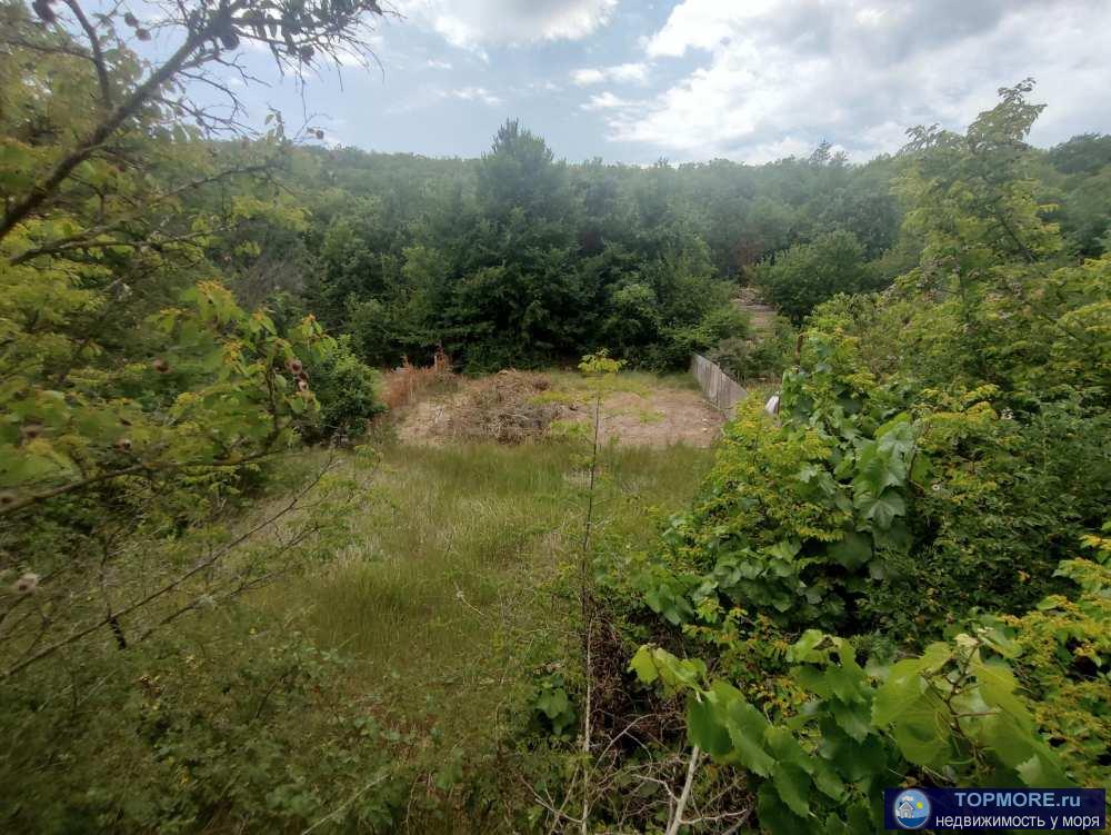 Продается участок 6,6 соток для ведения садоводства в тихом месте, рядом лес. Участок разделен на три секции средняя... - 1