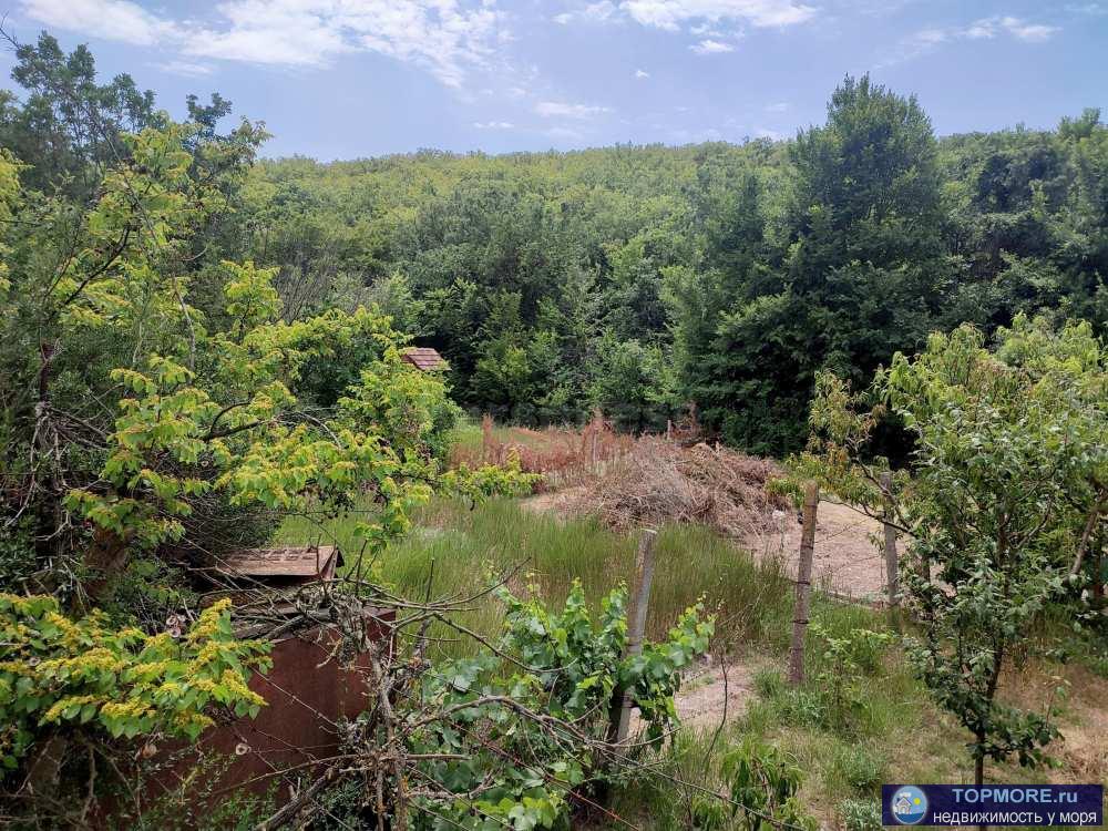 Продается участок 6,6 соток для ведения садоводства в тихом месте, рядом лес. Участок разделен на три секции средняя... - 2