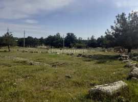 Продается участок 4 сотки в СНТ "Янтарь", Гагаринский...