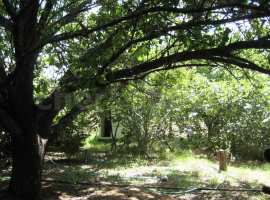 
Общие характеристики участка

Прекрасный участок для садоводства,...