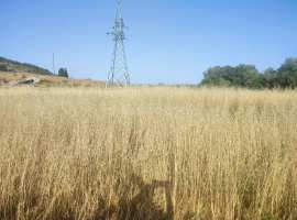 Продается участок 12,3 сотки с прекрасным месторасположением,...