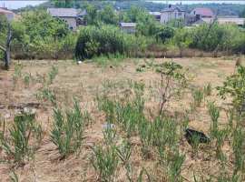 Участок ровный, правильной формы. На участке осталось несколько...