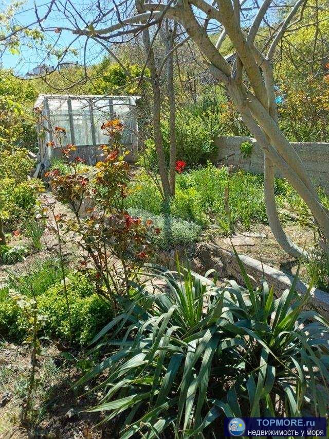 Продается земельный участок в черте города в районе 48 школы.  5 минут до инфраструктуры школ, садиков, магазинов,... - 2