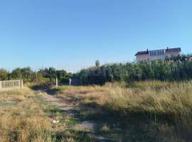 Продается земельный участок в селе Осипенко

Основные...