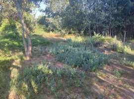 Продается участок в с.Вишневое с хорошо развитой инфраструктурой.К...