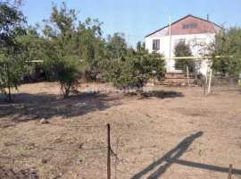 Продается участок в Голландии, СТ Садовод

Описание:

- Тип...