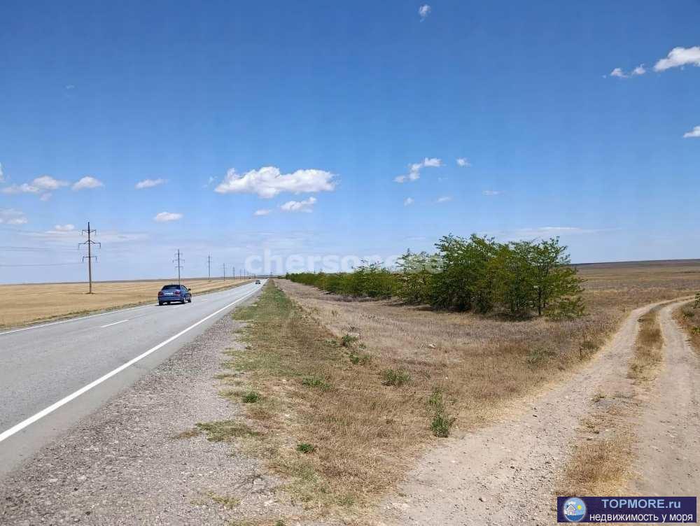 Продается земельный участок сельхозназначения площадью 49 соток!    Расположение и инфраструктура: Участок расположен... - 1