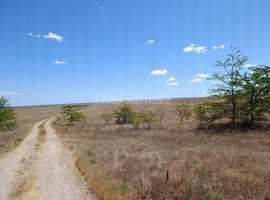 Продается земельный участок сельхозназначения площадью 49 соток!...