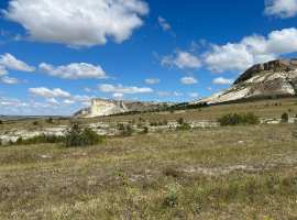 Продаётся участок сельскохозяйственного назначения  

Площадь...