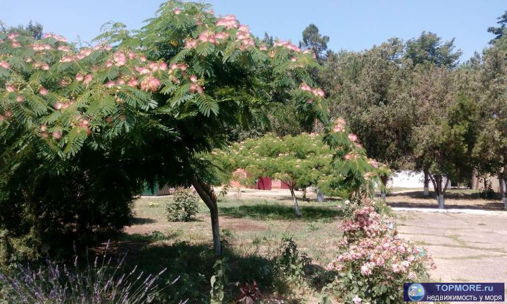 Отдых на Азовском море в посёлке Кучугуры. Отдых в Кучугурах — прекрасное решение для семейного отдыха, особенно для... - 3