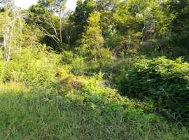 Продаётся земельный участок. Площадь земли 8 сот. Запущенный...