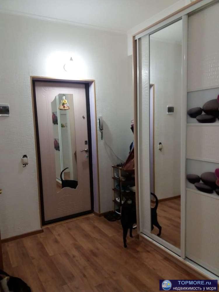 продажа студии улицаФермерская 35, дому 8 лет, ремонт, мебель,техника, 1 большое окно, есть межкомн.перегородка... - 3