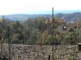 Продаётся земельный участок. Площадь земли 6 сот. Участок...