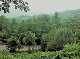 Продаётся земельный участок (возможен торг). Площадь земли 5 сот....