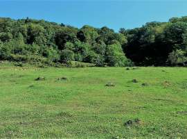 Продаётся земельный участок (возможен торг). Площадь земли 8 сот....