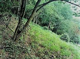 Продаётся земельный участок (возможен торг). Площадь земли 8 сот....