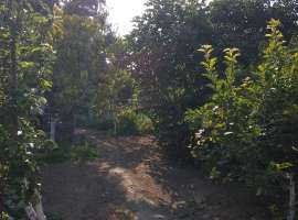 Продается 2эт.дом в 5мкр., 80м2, на 1эт.- кухня 8,3м2, прихожая...