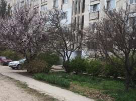 Продается малосемейная однокомнатная квартира в Инкермане. Квартира...