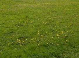 Продаётся ровный земельный участок в перспективном месте в...