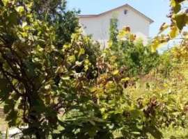 Продается жилая дача в ст в Казачьей бухте в 5-7 минутах пешком до...