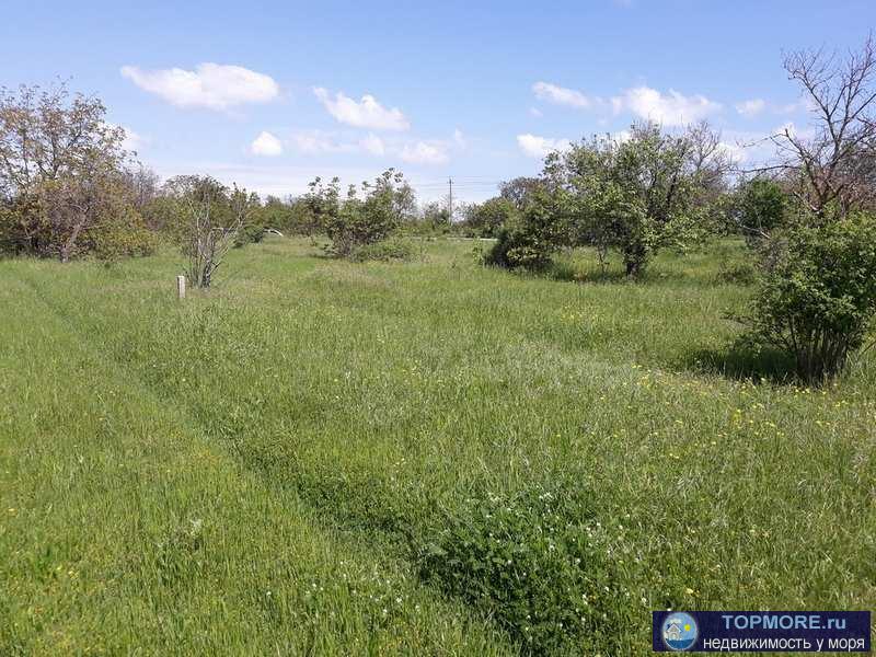 земельный участок площадью по 1000 кв.м.,   Крым, Кировский р-н, с. Первомайское  Категория земель:Земли населённых... - 1