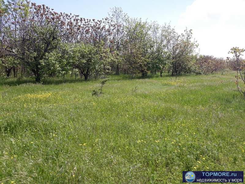 земельный участок площадью по 1000 кв.м.,   Крым, Кировский р-н, с. Первомайское  Категория земель:Земли населённых... - 2