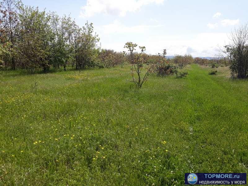 земельный участок площадью по 1000 кв.м.,   Крым, Кировский р-н, с. Первомайское  Категория земель:Земли населённых... - 3