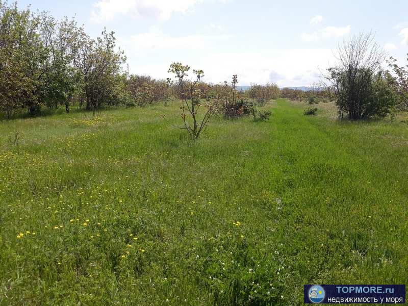 земельный участок площадью по 1000 кв.м.,   Крым, Кировский р-н, с. Первомайское  Категория земель:Земли населённых... - 4