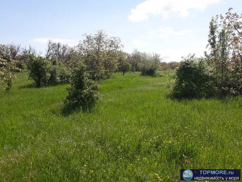 земельный участок площадью по 1000 кв.м.,   Крым, Кировский р-н, с. Первомайское  Категория земель:Земли населённых... - 6