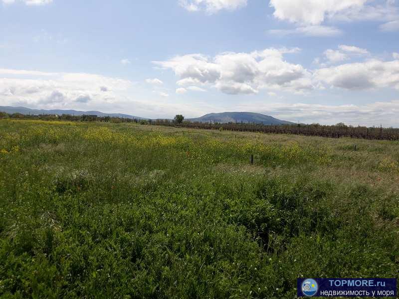 земельный участок площадью по 1000 кв.м.,   Крым, Кировский р-н, с. Первомайское  Категория земель:Земли населённых... - 7