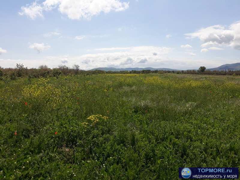земельный участок площадью по 1000 кв.м.,   Крым, Кировский р-н, с. Первомайское  Категория земель:Земли населённых... - 8