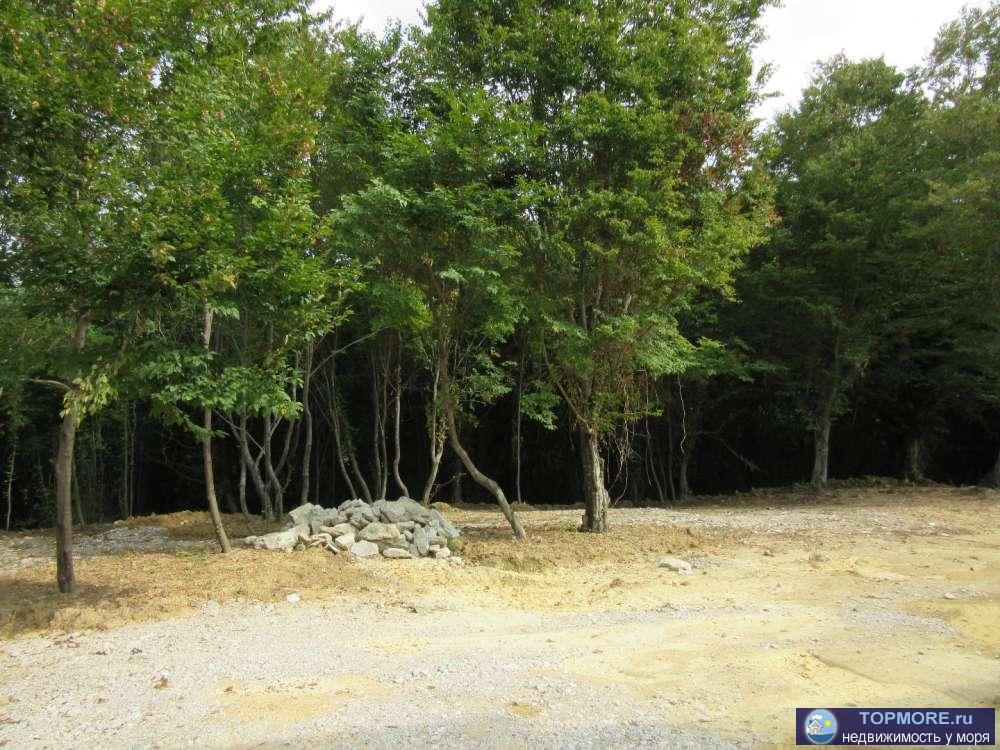 Уникальный комплекс таунхаусов с развитой внутренней инфраструктурой. Перед каждым подъездом предусмотрено два... - 2