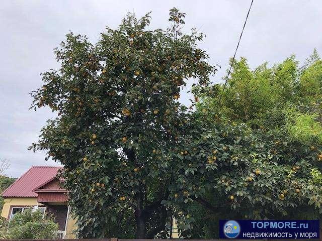 ПРОДАЮ земельный участок и половину дома в отличном состоянии ! Шикарный плодоносный сад и участок в центре... - 1