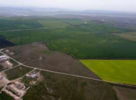 Продаю свой участок в Симферополе общей площадью 12 Га. Участок...